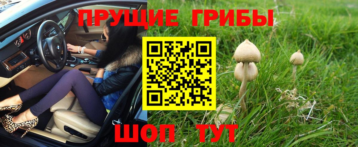 Дальнегорск  Галлюциногенные грибы GOLDEN TEACHER  Вход с VPN 